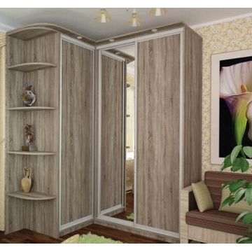 Шкаф-купе угловой 18 (Боковые полки) Шкаф-купе угловой 18 (Боковые полки)